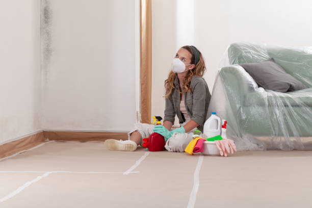 Reliable Mold Testing contractor in Upton, KY by WQB Mold Removal